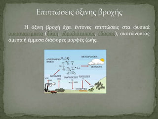 Η όξινη βροχό ϋχει ϋντονεσ επιπτώςεισ ςτα φυςικϊ
οικοςυςτόματα (δϊςη, υδροβιότοπουσ, ϋδαφοσ), ςκοτώνοντασ
ϊμεςα ό ϋμμεςα διϊφορεσ μορφϋσ ζωόσ.
 