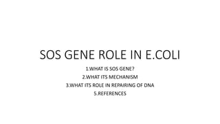 SOS GENE ROLE IN E.COLI
1.WHAT IS SOS GENE?
2.WHAT ITS MECHANISM
3.WHAT ITS ROLE IN REPAIRING OF DNA
5.REFERENCES
 