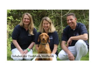 Inhaber der Tierklinik Weilheim

 