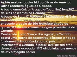 As três maiores bacias hidrográficas da América Latina recebem águas do Cerrado. A bacia amazônica (Araguaia-Tocantins) tem 78% de suas nascentes no Cerrado. A bacia do Paraná-Paraguai é formada por 48% de suas nascentes no Cerrado, enquanto a bacia do São Francisco dispõe de quase 50% de seu volume de água proveniente do Cerrado. Conhecido como "berço das águas", o Cerrado possui uma malha de nascentes, córregos e rios de fundamental importância para o país. Infelizmente o Cerrado já possui 80% de sua área desmatada e ocupada, 19% ainda intacta e menos de 3% protegida por lei. 