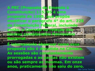 A PEC (Proposta de Emenda à Constituição) 115/95 é uma proposta de 1995, que propõe modificar o parágrafo 4° do art.. 225 da Constituição Federal, incluindo então, o Cerrado na relação dos biomas considerados Patrimônio Nacional. É interessante observar como essa proposta não é discutida na Câmara. As sessões são constantemente prorrogadas e as pautas não existem ou são sempre as mesmas. Em onze anos, praticamente não saiu do zero. 