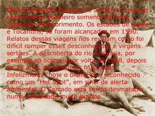 O s bandeirantes iniciaram a aventura rumo ao centro-oeste brasileiro somente 90 anos depois do descobrimento. Os estados de Goiás e Tocantins, só foram alcançados em 1590. Relatos dessas viagens nos revelam como foi difícil romper esses desconhecidos e virgens sertões. A descoberta do rio Araguaia, por exemplo,só ocorreu por volta de 1618, depois de 28 anos de tentativas frustradas. Infelizmente, hoje o bioma já é reconhecido como um "Hot Spot", em sinal de alerta ambiental. O Cerrado está sendo desmatado numa velocidade muito grande. 