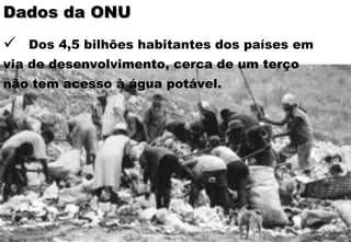 Dados da ONU Dos 4,5 bilhões habitantes dos países em via de desenvolvimento, cerca de um terço não tem acesso à água potável.  