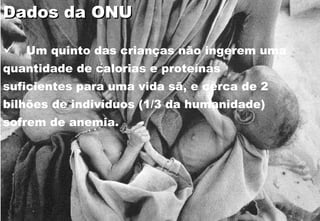 Dados da ONU Um quinto das crianças não ingerem uma quantidade de calorias e proteínas suficientes para uma vida sã, e cerca de 2 bilhões de indivíduos (1/3 da humanidade) sofrem de anemia.  