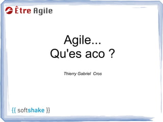 Agile...
Qu'es aco ?
  Thierry Gabriel Cros
 
