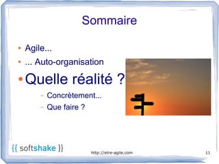Sommaire

●   Agile...
●   ... Auto-organisation
●   Quelle réalité ?
        –   Concrètement...
        –   Que faire ?




                          http://etre-agile.com   11
 