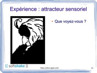 Expérience : attracteur sensoriel

                         ●   Que voyez-vous ?




             http://etre-agile.com              12
 