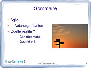 Sommaire

●   Agile...
●   ... Auto-organisation
●   Quelle réalité ?
        –   Concrètement...
        –   Que faire ?




                          http://etre-agile.com   2
 