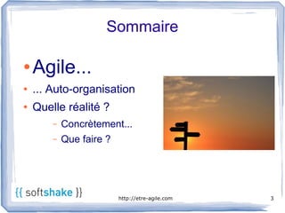 Sommaire

●   Agile...
●   ... Auto-organisation
●   Quelle réalité ?
        –   Concrètement...
        –   Que faire ?




                          http://etre-agile.com   3
 
