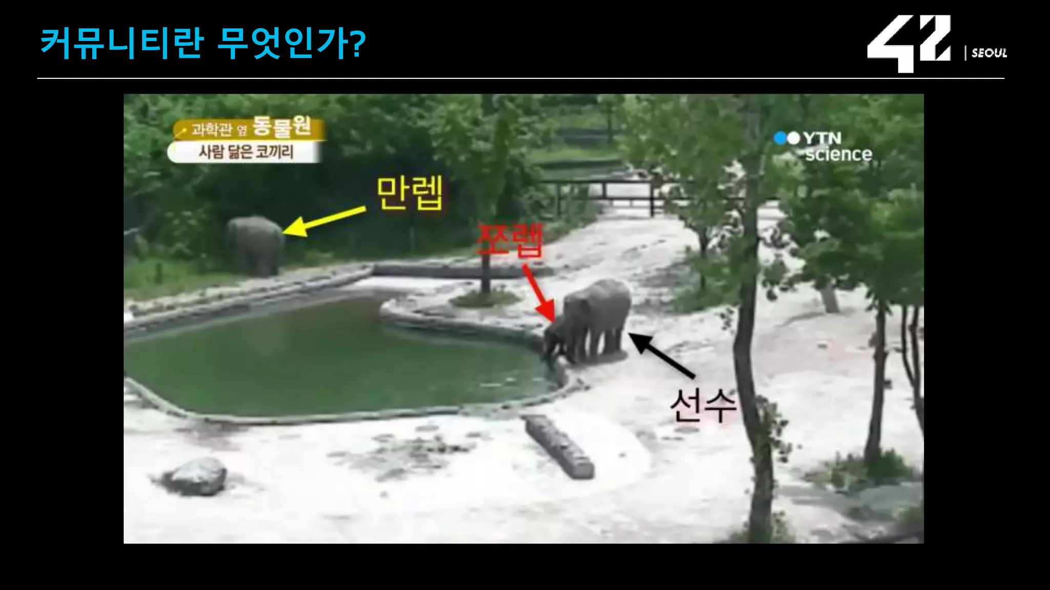 SAMSUNG OPEN SOURCE CONFERENCE 2019
SOSCON2019
커뮤니티란 무엇인가?
 