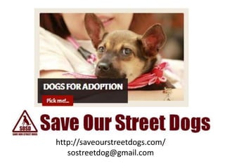 http://saveourstreetdogs.com/
   sostreetdog@gmail.com
 