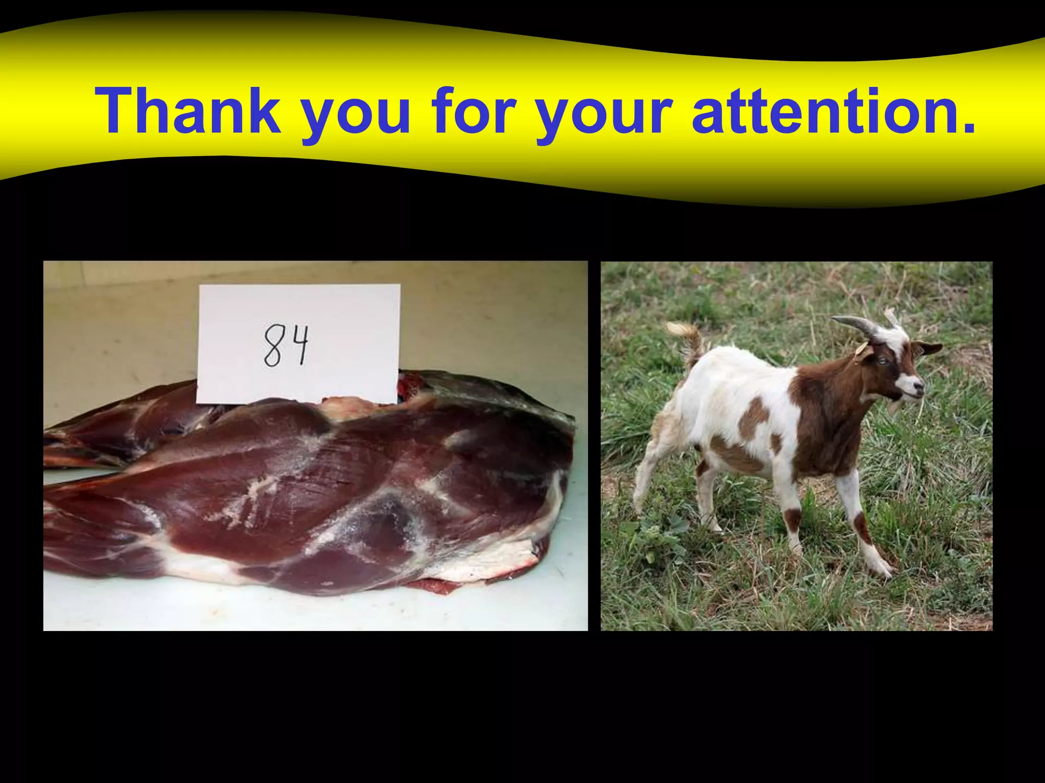 Thank you for your attention.
 