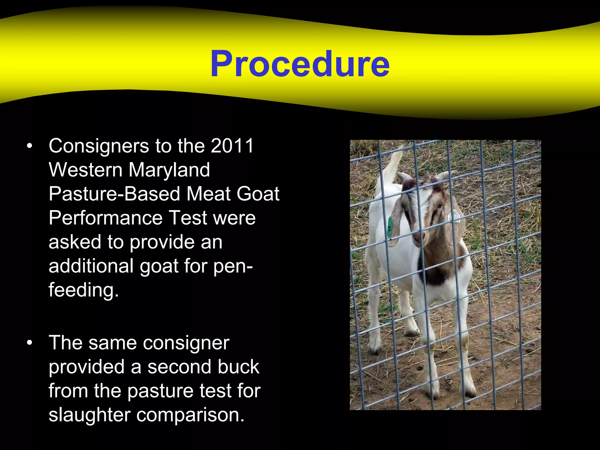 Procedure

• Consigners to the 2011
  Western Maryland
  Pasture-Based Meat Goat
  Performance Test were
  asked to provide an
  additional goat for pen-
  feeding.

• The same consigner
  provided a second buck
  from the pasture test for
  slaughter comparison.
 