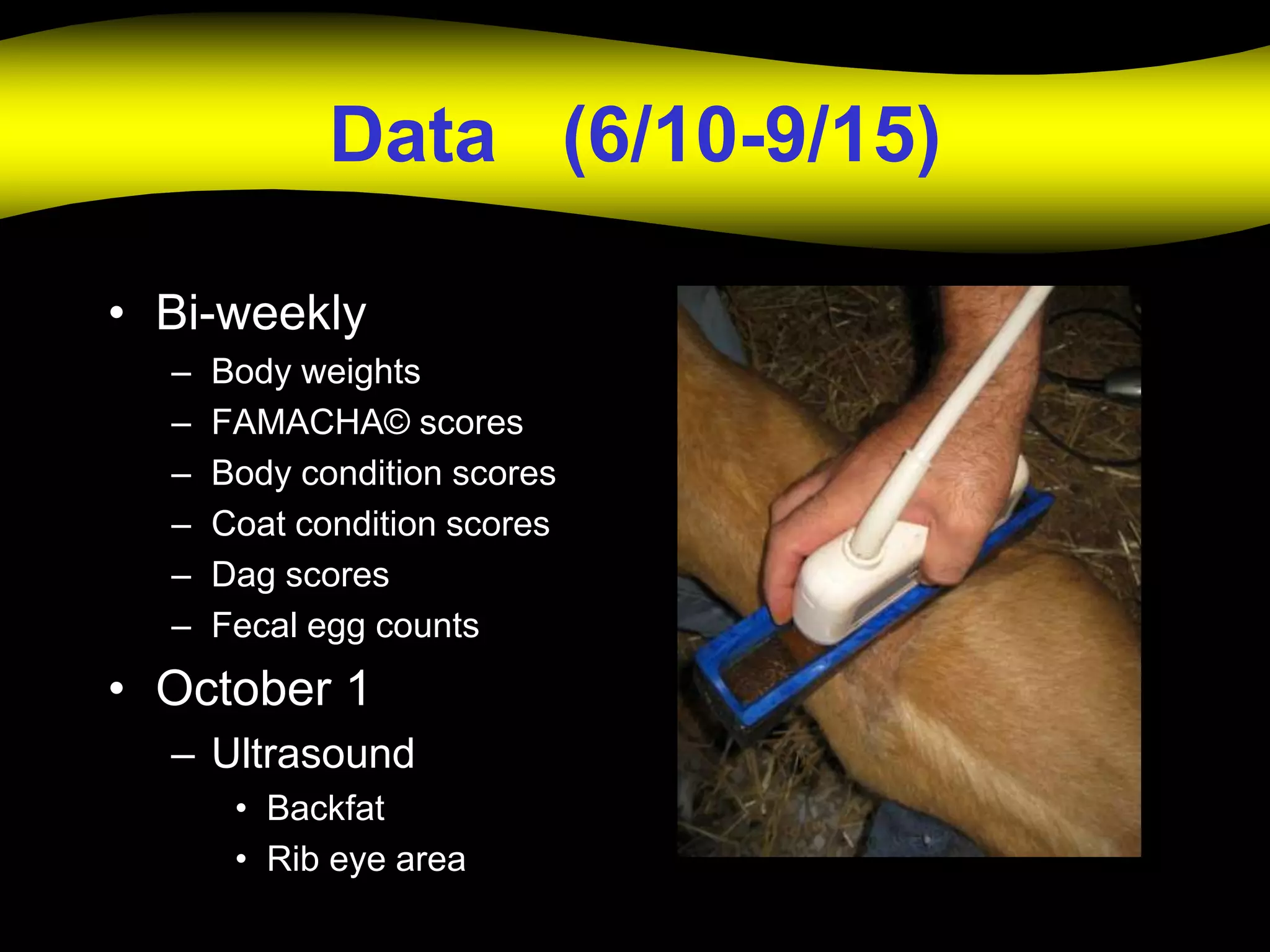 Data (6/10-9/15)

• Bi-weekly
  –   Body weights
  –   FAMACHA© scores
  –   Body condition scores
  –   Coat condition scores
  –   Dag scores
  –   Fecal egg counts
• October 1
  – Ultrasound
       • Backfat
       • Rib eye area
 