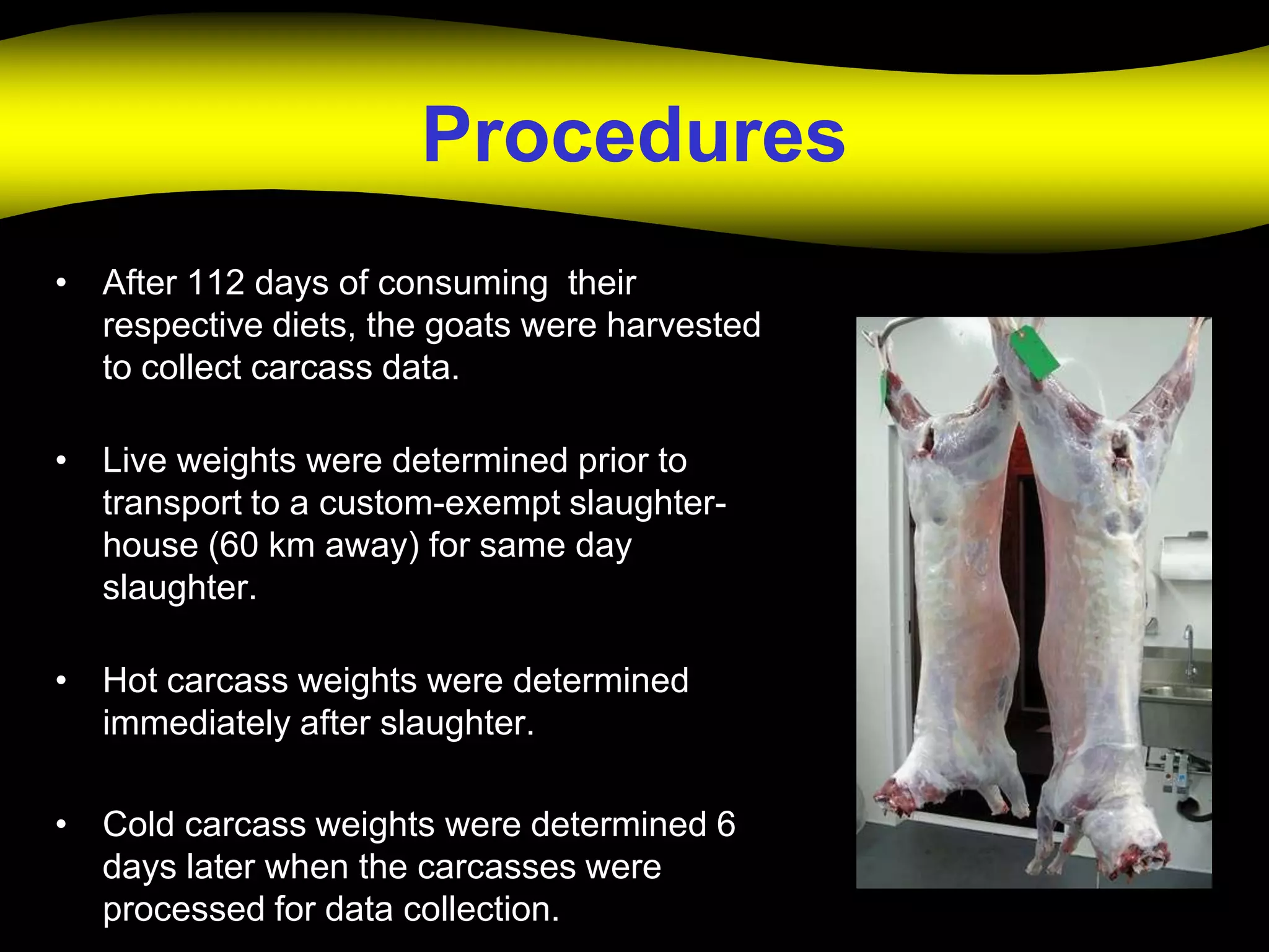 Procedures
• After 112 days of consuming their
  respective diets, the goats were harvested
  to collect carcass data.

• Live weights were determined prior to
  transport to a custom-exempt slaughter-
  house (60 km away) for same day
  slaughter.

• Hot carcass weights were determined
  immediately after slaughter.

• Cold carcass weights were determined 6
  days later when the carcasses were
  processed for data collection.
 