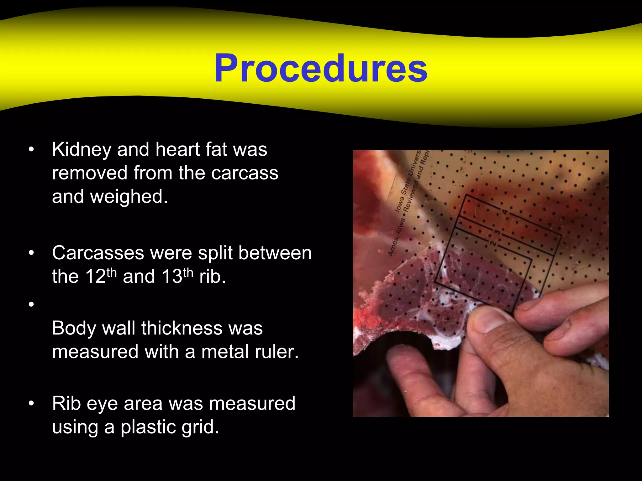 Procedures
• Kidney and heart fat was
  removed from the carcass
  and weighed.

• Carcasses were split between
  the 12th and 13th rib.
•
  Body wall thickness was
  measured with a metal ruler.

• Rib eye area was measured
  using a plastic grid.
 