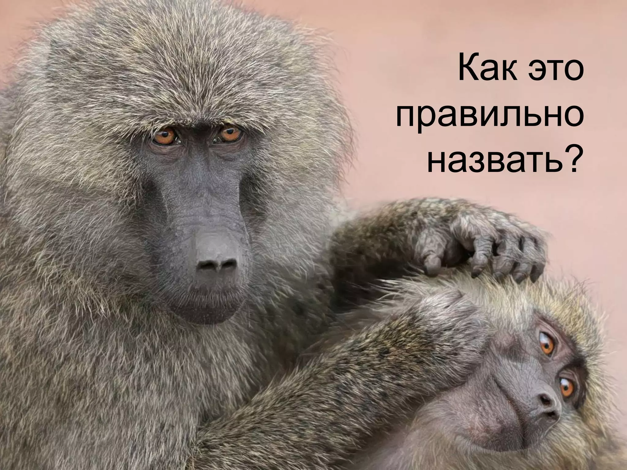 Как это
правильно
 назвать?
 
