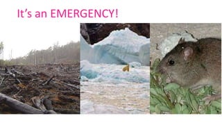 It’s an EMERGENCY!
 