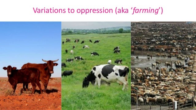 Achieving environmental liberation through animal liberation by Adam