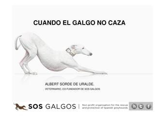 1
CUANDO EL GALGO NO CAZA
ALBERT SORDE DE URALDE.
VETERINARIO, CO-FUNDADOR DE SOS GALGOS
 