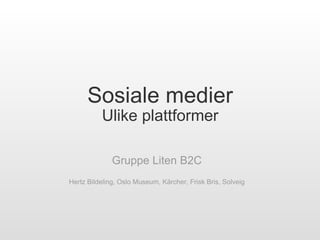 Sosiale medier Ulike plattformer Gruppe Liten B2C   Hertz Bildeling, Oslo Museum, Kärcher, Frisk Bris, Solveig 
