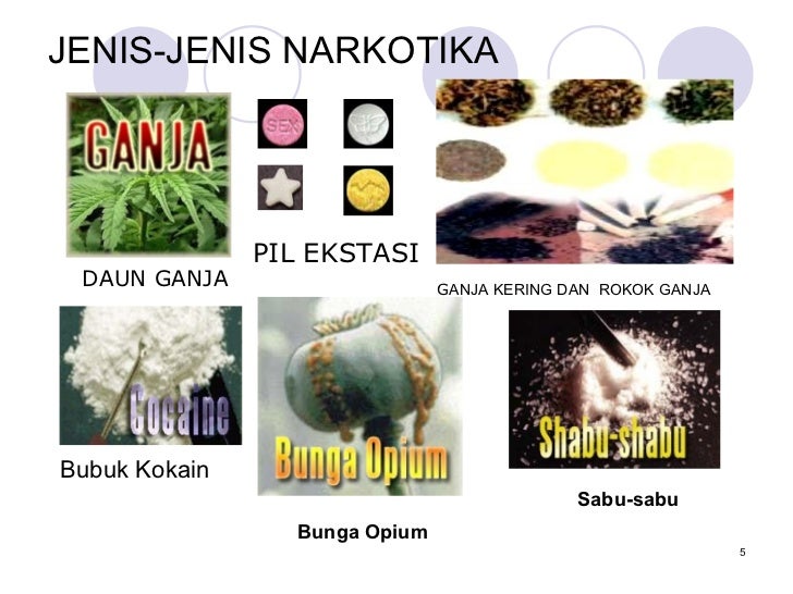 Sosialisasi narkoba2010 Sosialisasi narkoba2010