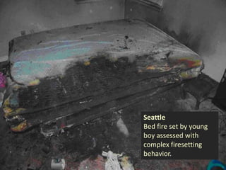 Introduction to Child & Adolescent Firesetting | PPTX