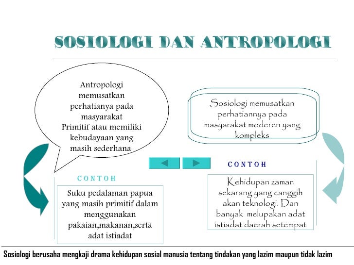 Sosiologi