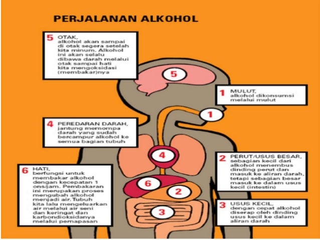 Sosiologi-masalah sosal "minuman keras"