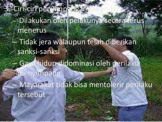Sosiologi (Perilaku Menyimpang)