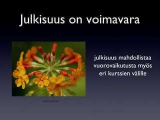 Julkisuus on voimavara julkisuus mahdollistaa vuorovaikutusta myös eri kurssien välille photo by hamedmasouni 