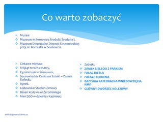  Muzea:
 Muzeum w Sosnowcu Środuli (Środulce),
 Muzeum Diecezjalne Diecezji Sosnowieckiej
przy ul. Korczaka w Sosnowcu,
 Ciekawe miejsca:
 Trójkąt trzech cesarzy,
 Egzotarium w Sosnowcu,
 Sosnowieckie Centrum Sztuki – Zamek
Sielecki,
 Rynek.
 Lodowisko Stadion Zimowy
 Basen kryty na ul.Żeromskiego
 Mini ZOO w dzielnicy Kazimierz
 Zabytki:
 ZAMEK SIELECKI Z PARKIEM
 PAŁAC DIETLA
 PAŁACE SCHOENA
 BAZYLIKA KATEDRALNA WNIEBOWZIĘCIA
NMP
 GŁÓWNY DWORZEC KOLEJOWY
WSB Dąbrowa Górnicza
Co warto zobaczyć
 