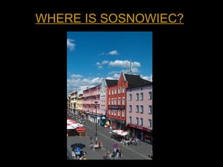WHERE IS SOSNOWIEC?
 