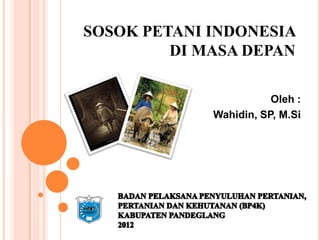 SOSOK PETANI INDONESIA
         DI MASA DEPAN

                        Oleh :
             Wahidin, SP, M.Si
 