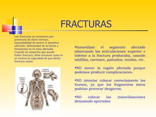 FRACTURAS
Las fracturas se reconocen por
presencia de dolor intenso,
imposibilidad de mover el miembro
afectado, deformidad de la forma y
hematoma en la zona afectada.
                                        •Inmovilizar     el   segmento    afectado
Cuando se sospecha que puede            (abarcando las articulaciones superior e
haber fractura, debe actuarse como si   inferior a la fractura producida), usando
se tuviera la seguridad de que dicha
fractura existe. 
                                        tablillas, cartones, pañuelos, vendas, etc.

                                        •NO mover la región afectada porque
                                        podemos producir complicaciones.

                                        •NO intentar colocar correctamente los
                                        huesos, ya que los fragmentos óseos
                                        podrían provocar desgarros.

                                        •NO    colocar   las      inmovilizaciones
                                        demasiado apretadas
 