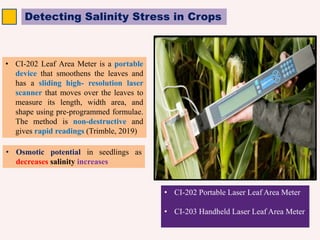 Detecting Salinity Stress in Crops
• CI-202 Portable Laser Leaf Area Meter
• CI-203 Handheld Laser Leaf Area Meter
• CI-202 Leaf Area Meter is a portable
device that smoothens the leaves and
has a sliding high- resolution laser
scanner that moves over the leaves to
measure its length, width area, and
shape using pre-programmed formulae.
The method is non-destructive and
gives rapid readings (Trimble, 2019)
• Osmotic potential in seedlings as
decreases salinity increases
 
