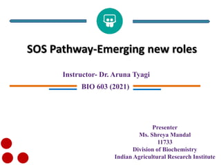 SOS Pathway-Emerging new roles
Instructor- Dr. Aruna Tyagi
BIO 603 (2021)
Presenter
Ms. Shreya Mandal
11733
Division of Biochemistry
Indian Agricultural Research Institute
 