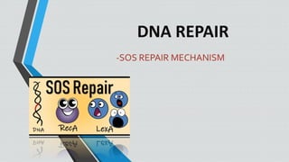 DNA REPAIR
-SOS REPAIR MECHANISM
 