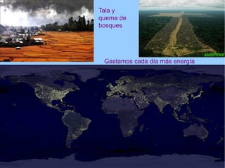 Tala y
quema de
bosques
Gastamos cada día más energía
 