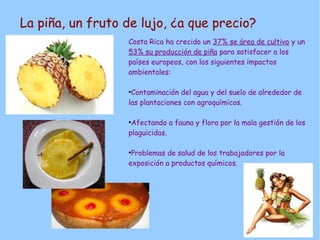 La piña, un fruto de lujo, ¿a que precio?
Costa Rica ha crecido un 37% se área de cultivo y un
53% su producción de piña para satisfacer a los
países europeos, con los siguientes impactos
ambientales:
●
Contaminación del agua y del suelo de alrededor de
las plantaciones con agroquímicos.
●
Afectando a fauna y flora por la mala gestión de los
plaguicidas.
●
Problemas de salud de los trabajadores por la
exposición a productos químicos.
 