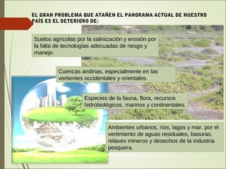 Suelos agrícolas por la salinización y erosión por
la falta de tecnologías adecuadas de riesgo y
manejo.
Cuencas andinas, especialmente en las
vertientes occidentales y orientales.
Especies de la fauna, flora, recursos
hidrobiológicos, marinos y continentales.
Ambientes urbanos, ríos, lagos y mar. por el
vertimiento de aguas residuales, basuras,
relaves mineros y desechos de la industria
pesquera.
EL GRAN PROBLEMA QUE ATAÑEN EL PANORAMA ACTUAL DE NUESTRO
PAÍS ES EL DETERIORO DE:
 