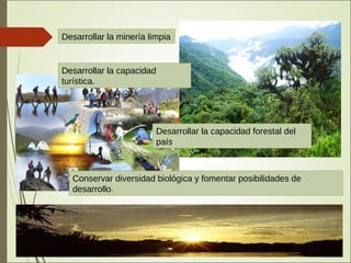 Desarrollar la minería limpia
Desarrollar la capacidad
turística.
Desarrollar la capacidad forestal del
país
Conservar diversidad biológica y fomentar posibilidades de
desarrollo.
 