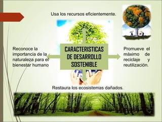 CARACTERISTICAS
DE DESARROLLO
SOSTENIBLE
Usa los recursos eficientemente.
Promueve el
máximo de
reciclaje y
reutilización.
Restaura los ecosistemas dañados.
Reconoce la
importancia de la
naturaleza para el
bienestar humano
 