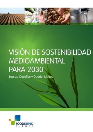VISIÓN DE SOSTENIBILIDAD
MEDIOAMBIENTAL
PARA 2030
Logros, Desafíos y Oportunidades

 