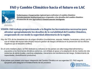 VISIÓN: FAO trabaja proporcionando a la Región las herramientas necesarias para
afrontar apropiadamente los desafíos de la variabilidad del Cambio Climático,
asegurando de ese modo la seguridad alimentaria de la región.
FAO y Cambio Climático hacia el futuro en LAC
•Gobernanza y Cooperación regional para enfrentar el cambio climático
•Fortalecimiento Institucional para responder a los desafíos del cambio climático
•Promoción de una Agricultura Climáticamente Inteligente.
Hoy día 70% de los desastres son de origen climático (inundaciones, sequias, heladas, huracanes y otros), por lo
que el trabajo del equipo esta dirigido hacia la gestión de riesgos climáticos en la prevención de los efectos
negativos que el desastre conlleva.
En el corto-mediano plazo, la FAO dedicará su esfuerzo en los países con alta inseguridad alimentaria y
expuestos a los fenómenos climáticos extremos, con énfasis al apoyo a la adaptación de los medios de vida
(sistemas de alerta locales, practicas adaptadas, mecanismo de transferencia del riesgo, fortalecimiento de
capacidades, diversificación productiva)
A los países que poseen una mayor integración del Cambio Climático en sus agendas CC, FAO seguirá
apoyando para asegurar el fortalecimiento de los procesos
 