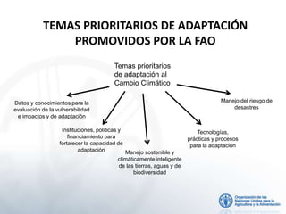 TEMAS PRIORITARIOS DE ADAPTACIÓN
PROMOVIDOS POR LA FAO
Temas prioritarios
de adaptación al
Cambio Climático
Datos y conocimientos para la
evaluación de la vulnerabilidad
e impactos y de adaptación
Instituciones, políticas y
financiamiento para
fortalecer la capacidad de
adaptación Manejo sostenible y
climáticamente inteligente
de las tierras, aguas y de
biodiversidad
Tecnologías,
prácticas y procesos
para la adaptación
Manejo del riesgo de
desastres
 
