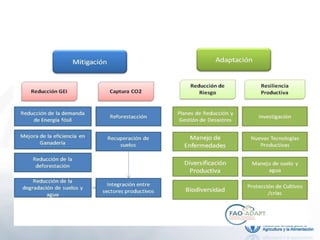 MITIGACIÓN Y ADAPTACIÓN AL CAMBIO CLIMÁTICO
 