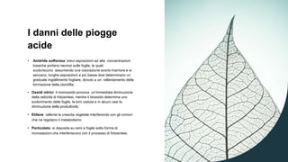 I danni delle piogge
acide
• Anidride solforosa: brevi esposizioni ad alte concentrazioni
tossiche portano necrosi sulle foglie, le quali
scoloriscono assumendo una colorazione avorio-marrone e si
seccano; lunghe esposizioni a più basse dosi determinano un
graduale ingiallimento fogliare, dovuto a un rallentamento della
formazione della clorofilla.
• Ossidi nitrici: il monossido provoca un’immediata diminuzione
della velocità di fotosintesi, mentre il biossido determina uno
scolorimento delle foglie, la loro caduta e in alcuni casi la
diminuzione della produttività.
• Etilene: rallenta la crescita vegetale interferendo con gli ormoni
che ne regolano il metabolismo
• Particolato: si deposita su rami e foglie sotto forma di
incrostazioni che interferiscono con il processo di fotosintesi.
 