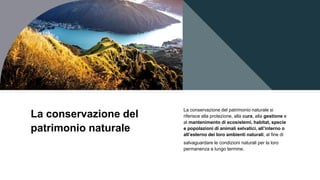 La conservazione del
patrimonio naturale
La conservazione del patrimonio naturale si
riferisce alla protezione, alla cura, alla gestione e
al mantenimento di ecosistemi, habitat, specie
e popolazioni di animali selvatici, all’interno o
all’esterno dei loro ambienti naturali, al fine di
salvaguardare le condizioni naturali per la loro
permanenza a lungo termine.
 