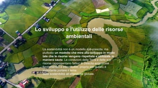 Lo sviluppo e l'utilizzo delle risorse
ambientali
La sostenibilità non è un modello anti-crescita, ma
piuttosto un modello che mira allo sviluppo in modo
tale che le risorse vengano rispettate e utilizzate in
maniera cauta. Le condizioni della Terra e delle sue
risorse rappresentano fattori di crescita economica
fondamentali e insostituibili; proprio per questo è
importante portare il tema
della sostenibilità all’attenzione globale.
 